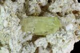 Yellow Apatite Crystal on Feldspar Matrix - Morocco #84315-2